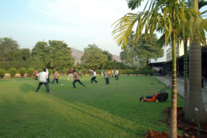 Garden